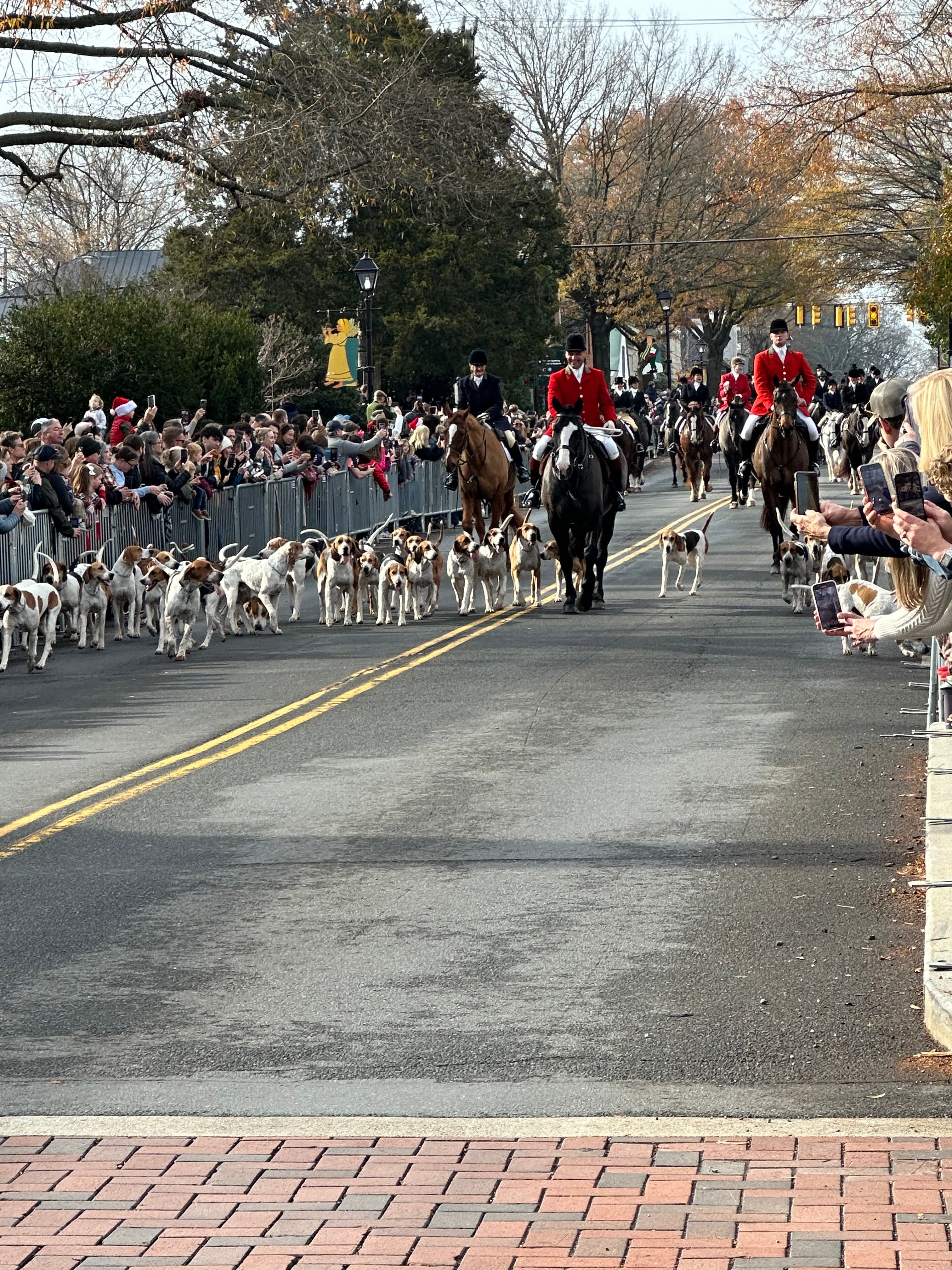 A parade features riders in red coats on horseback leading a pack of hounds down a busy street lined with spectators.
