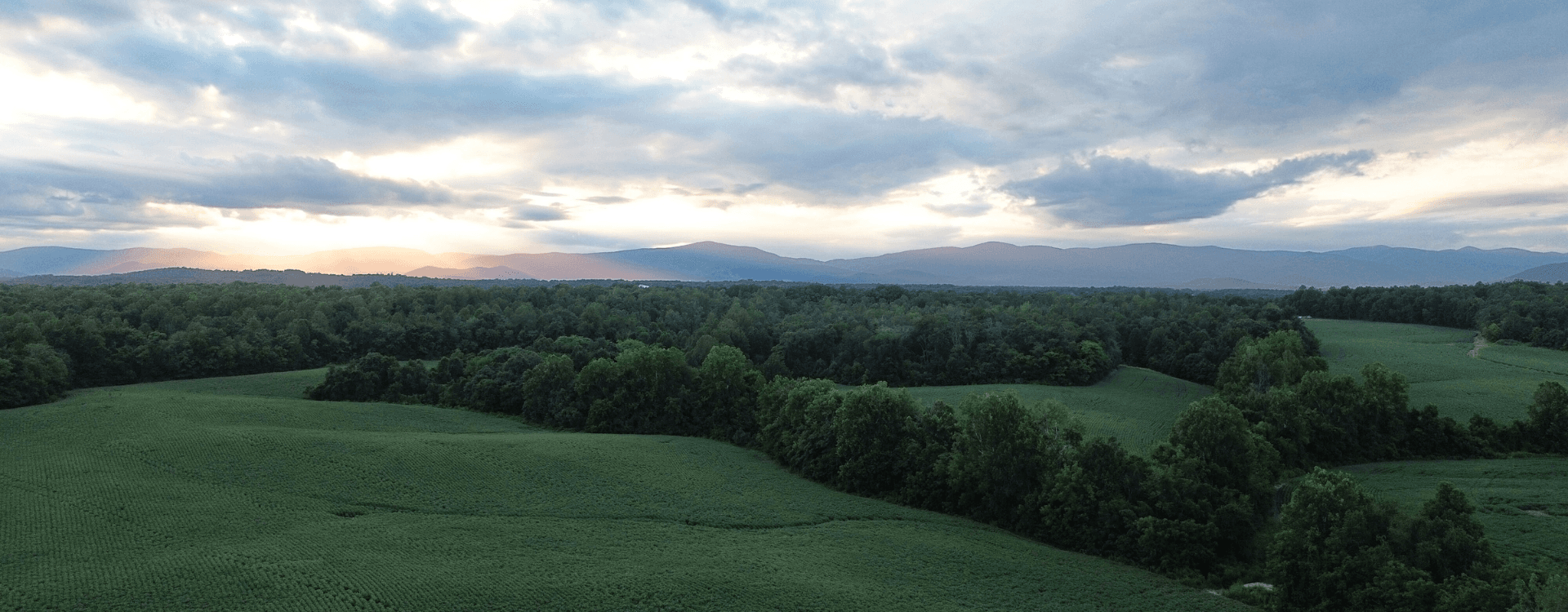 A panoramic view of lush green fields and distant mountains under a cloudy sky at sunset.