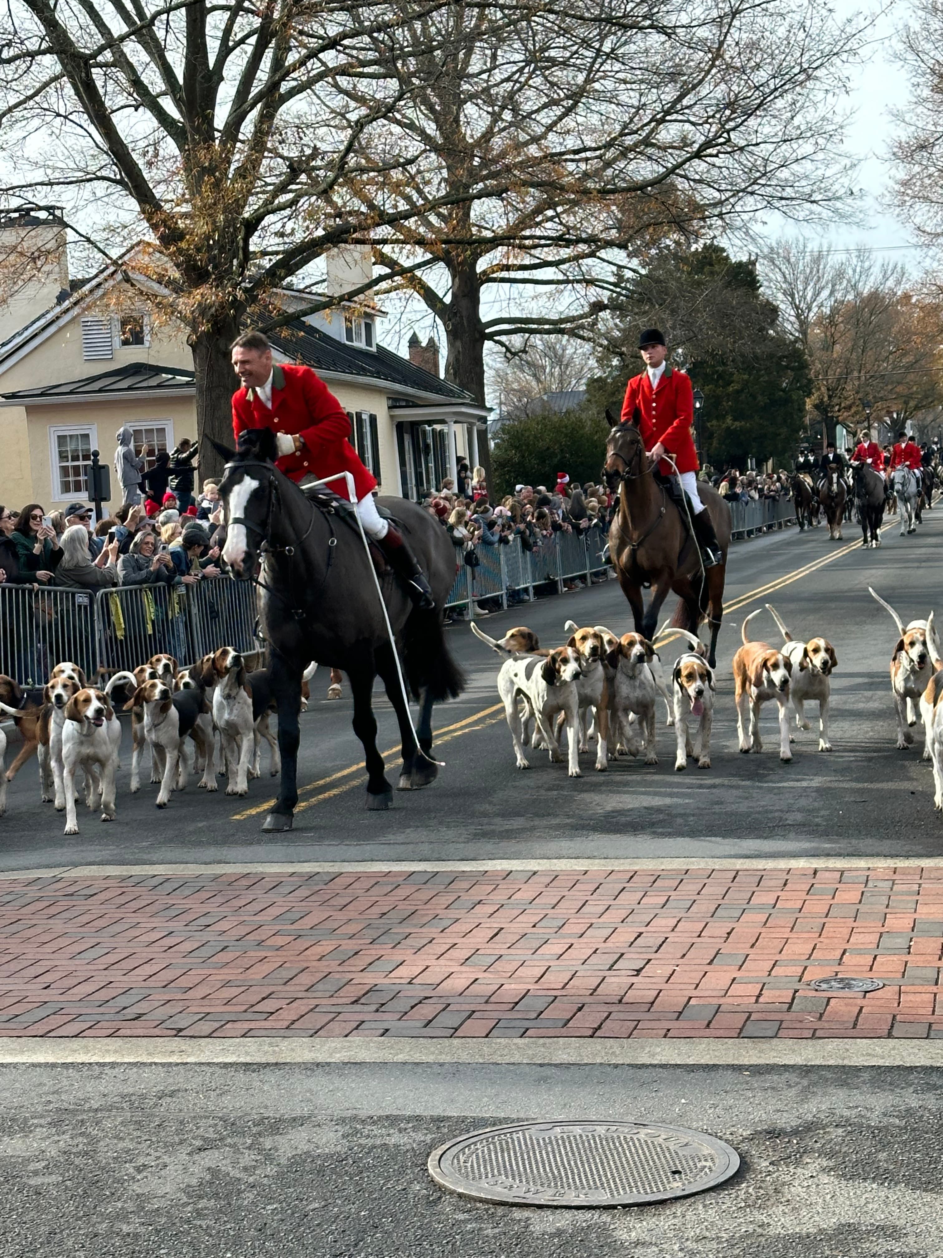 Horses and hounds parade through a crowd-lined street, with riders in red jackets leading the group.